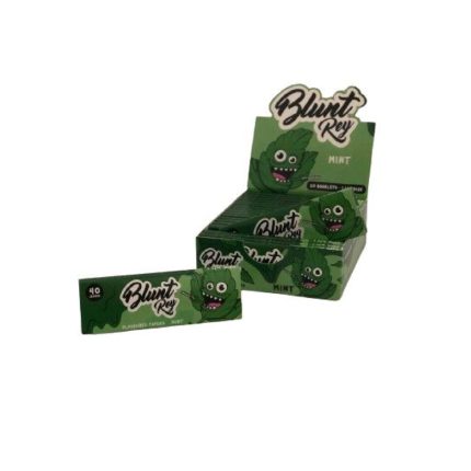 PAPELILLO SABORIZADO BLUNT REY MINT 20LIB x40H